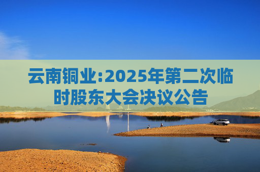 云南铜业:2025年第二次临时股东大会决议公告