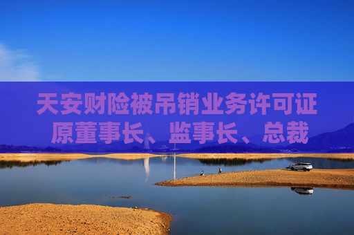 天安财险被吊销业务许可证 原董事长、监事长、总裁等均被罚