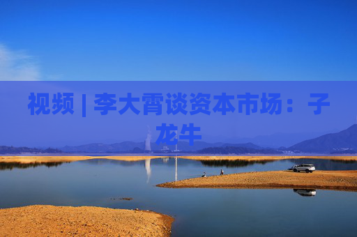 视频 | 李大霄谈资本市场：子龙牛