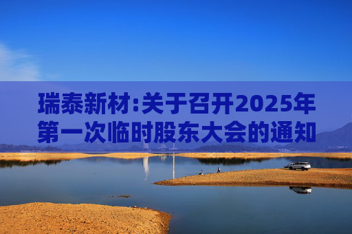 瑞泰新材:关于召开2025年第一次临时股东大会的通知