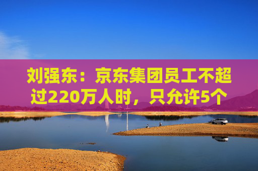 刘强东：京东集团员工不超过220万人时，只允许5个组织层级