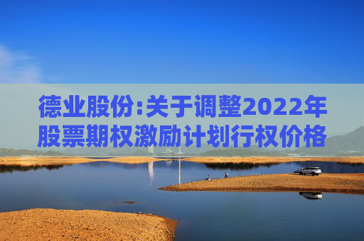德业股份:关于调整2022年股票期权激励计划行权价格及数量的公告