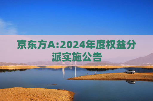 京东方A:2024年度权益分派实施公告