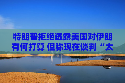 特朗普拒绝透露美国对伊朗有何打算 但称现在谈判“太晚了”