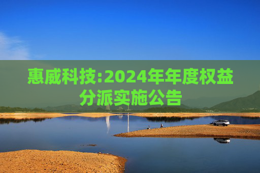 惠威科技:2024年年度权益分派实施公告