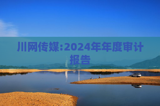 川网传媒:2024年年度审计报告