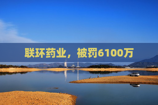 联环药业，被罚6100万
