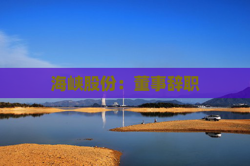 海峡股份：董事辞职
