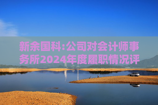 新余国科:公司对会计师事务所2024年度履职情况评估报告