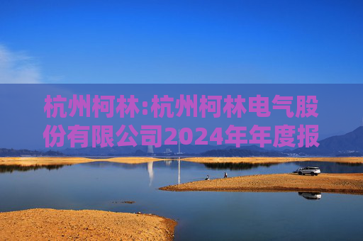 杭州柯林:杭州柯林电气股份有限公司2024年年度报告