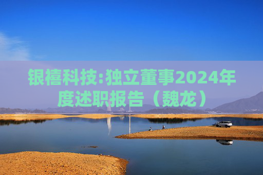 银禧科技:独立董事2024年度述职报告（魏龙）