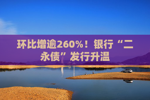 环比增逾260%！银行“二永债”发行升温