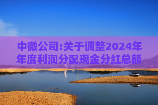 中微公司:关于调整2024年年度利润分配现金分红总额的公告