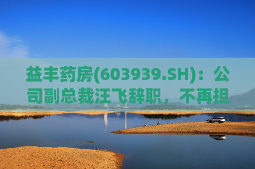 益丰药房(603939.SH)：公司副总裁汪飞辞职，不再担任公司其他职务