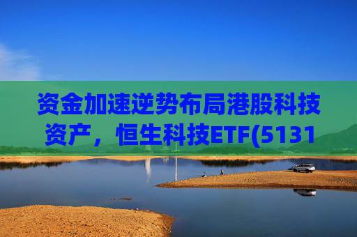 资金加速逆势布局港股科技资产，恒生科技ETF(513130)单日净流入超6亿，最新份额达378.29亿份，迭创历史新高