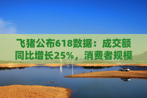 飞猪公布618数据：成交额同比增长25%，消费者规模增长约30%