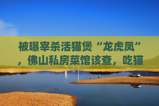 被曝宰杀活猫煲“龙虎凤”，佛山私房菜馆该查，吃猫狗的食俗也须反思 | 新京报微评