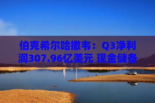 伯克希尔哈撒韦：Q3净利润307.96亿美元 现金储备达3816.7亿美元