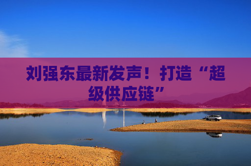 刘强东最新发声！打造“超级供应链”