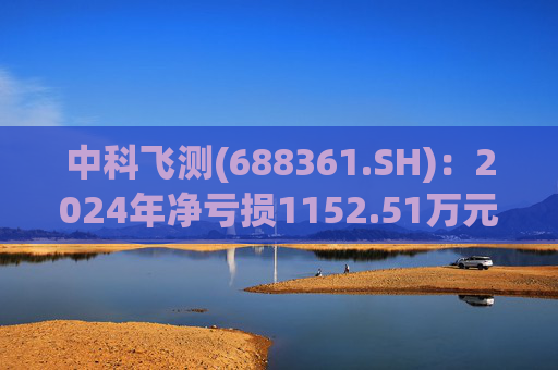 中科飞测(688361.SH)：2024年净亏损1152.51万元