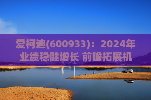 爱柯迪(600933)：2024年业绩稳健增长 前瞻拓展机器人相关业务  第1张