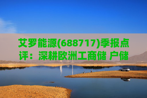 艾罗能源(688717)季报点评：深耕欧洲工商储 户储多点开花