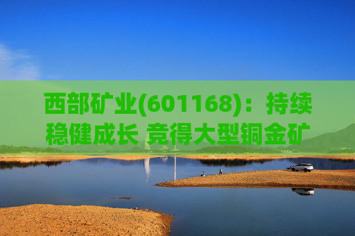 西部矿业(601168)：持续稳健成长 竞得大型铜金矿-茶亭铜多金属矿