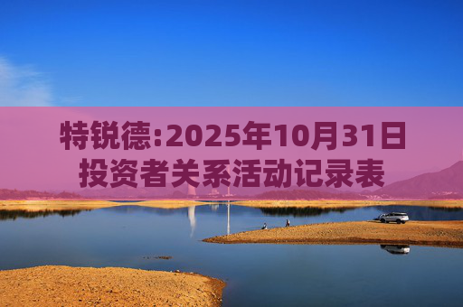 特锐德:2025年10月31日投资者关系活动记录表