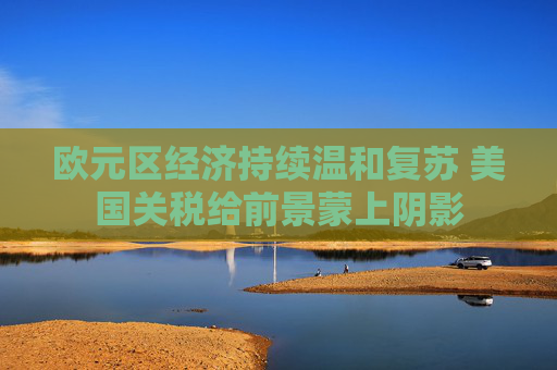 欧元区经济持续温和复苏 美国关税给前景蒙上阴影  第1张