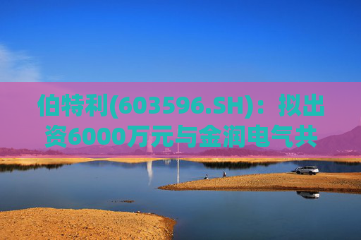 伯特利(603596.SH)：拟出资6000万元与金润电气共同投资并设立伯特利驱动