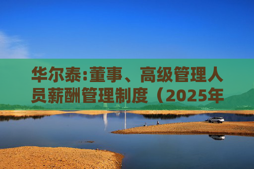 华尔泰:董事、高级管理人员薪酬管理制度（2025年11月）
