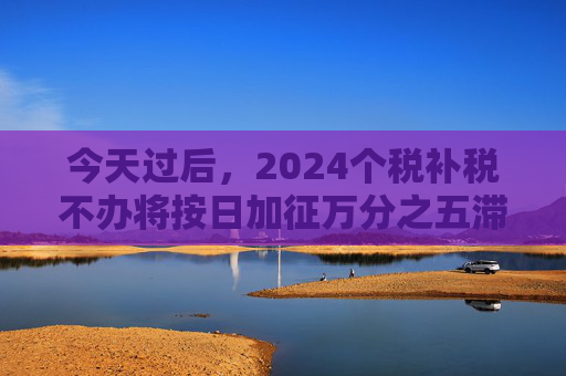 今天过后，2024个税补税不办将按日加征万分之五滞纳金