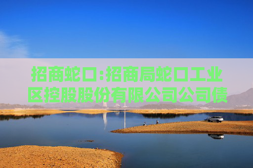 招商蛇口:招商局蛇口工业区控股股份有限公司公司债券受托管理事务报告（2024年度）