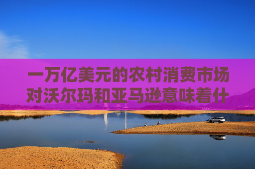 一万亿美元的农村消费市场对沃尔玛和亚马逊意味着什么