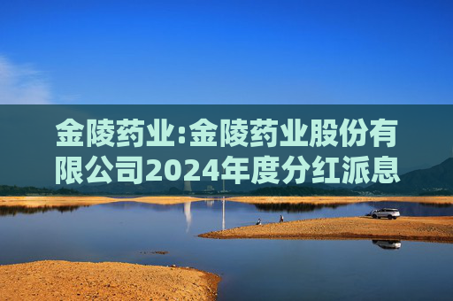 金陵药业:金陵药业股份有限公司2024年度分红派息实施公告