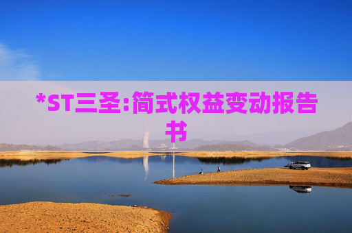 *ST三圣:简式权益变动报告书