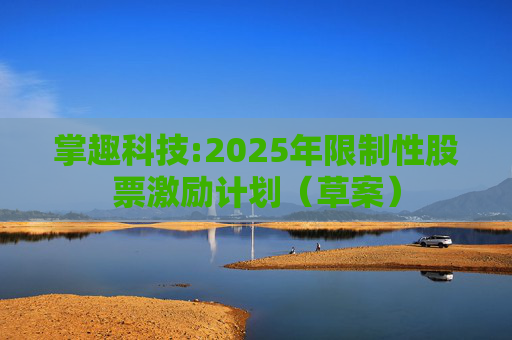 掌趣科技:2025年限制性股票激励计划（草案）