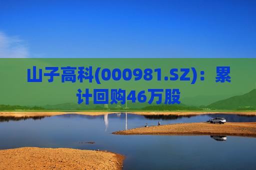 山子高科(000981.SZ)：累计回购46万股
