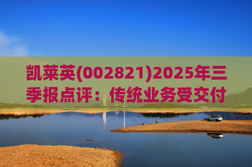 凯莱英(002821)2025年三季报点评：传统业务受交付节奏影响 新兴业务加速放量