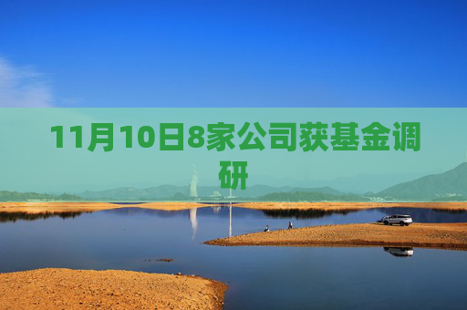11月10日8家公司获基金调研