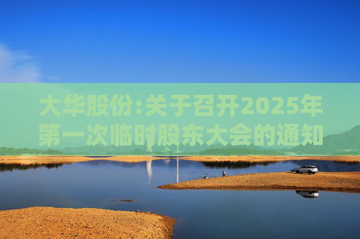 大华股份:关于召开2025年第一次临时股东大会的通知  第1张
