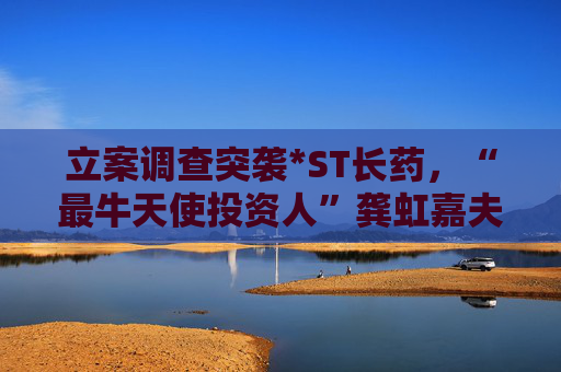 立案调查突袭*ST长药，“最牛天使投资人”龚虹嘉夫妇5.93亿元投资再临挑战