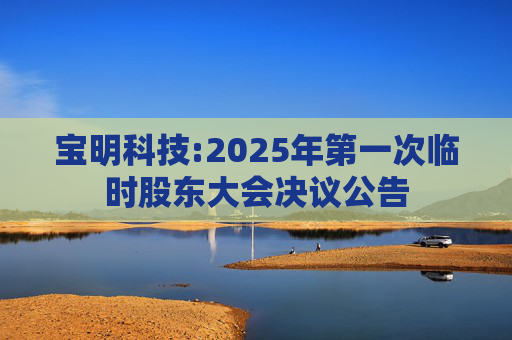 宝明科技:2025年第一次临时股东大会决议公告