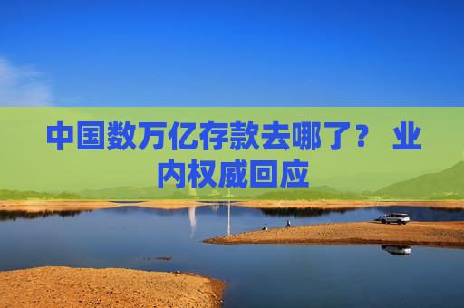 中国数万亿存款去哪了？ 业内权威回应  第1张