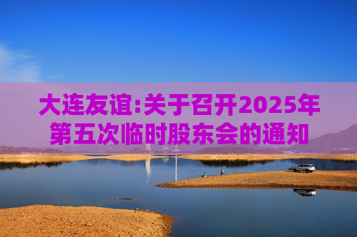 大连友谊:关于召开2025年第五次临时股东会的通知  第1张