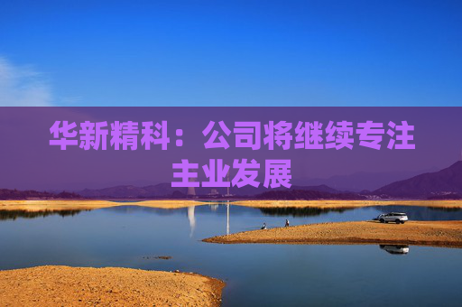 华新精科：公司将继续专注主业发展