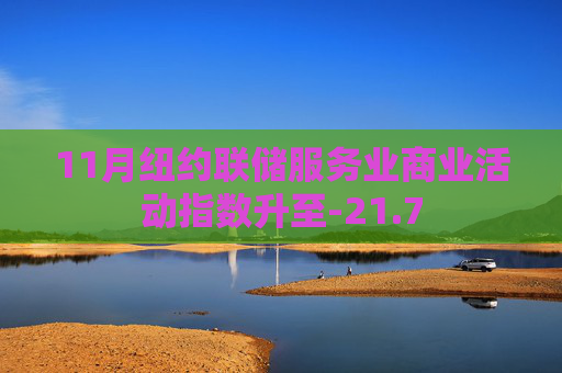 11月纽约联储服务业商业活动指数升至-21.7
