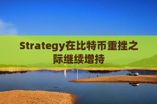Strategy在比特币重挫之际继续增持