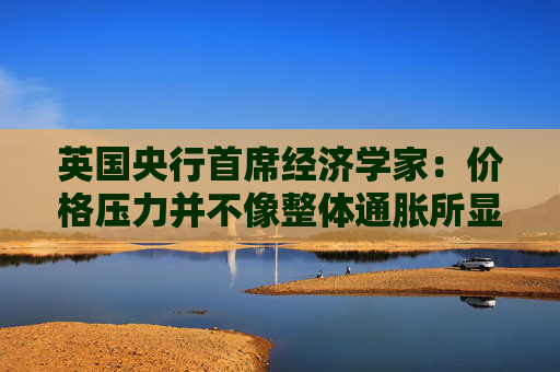 英国央行首席经济学家：价格压力并不像整体通胀所显示的那样强