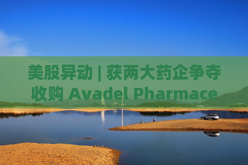 美股异动 | 获两大药企争夺收购 Avadel Pharmaceuticals(AVDL.US)涨超20%